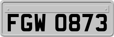 FGW0873