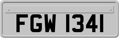 FGW1341