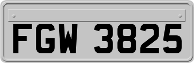 FGW3825