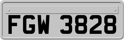 FGW3828