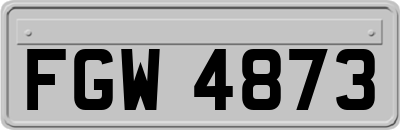 FGW4873