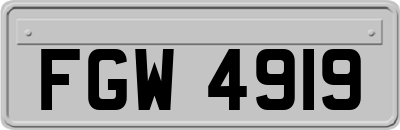 FGW4919