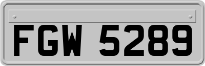 FGW5289