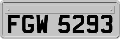 FGW5293