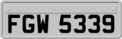 FGW5339