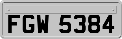 FGW5384