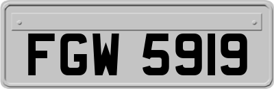 FGW5919