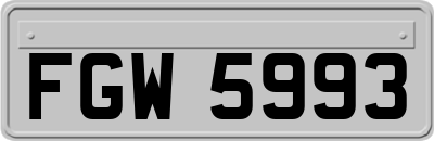 FGW5993