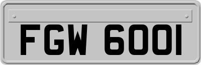 FGW6001