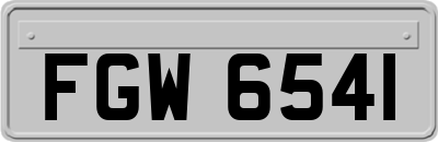 FGW6541