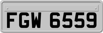 FGW6559