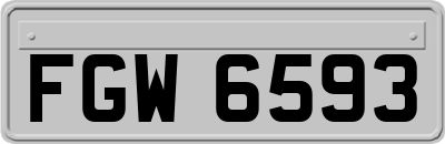 FGW6593