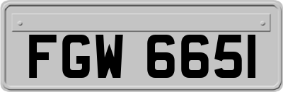 FGW6651