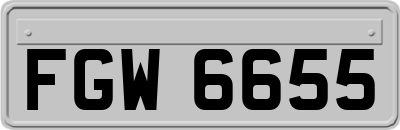 FGW6655