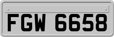 FGW6658