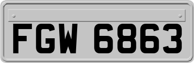 FGW6863