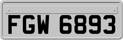 FGW6893
