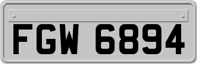 FGW6894