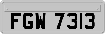 FGW7313