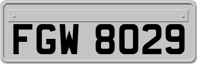 FGW8029