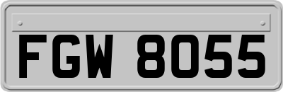 FGW8055
