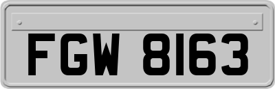 FGW8163