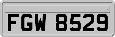 FGW8529