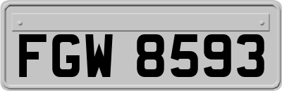FGW8593
