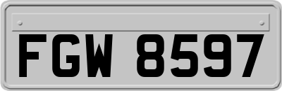 FGW8597