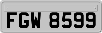 FGW8599