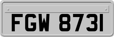 FGW8731