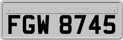 FGW8745