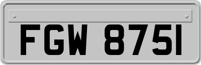 FGW8751