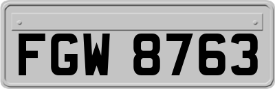 FGW8763