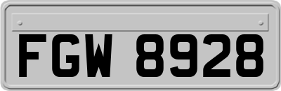 FGW8928