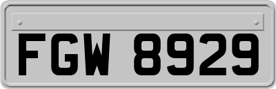 FGW8929
