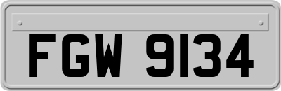 FGW9134