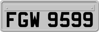 FGW9599