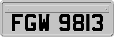 FGW9813