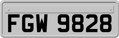 FGW9828