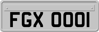 FGX0001