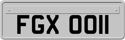 FGX0011