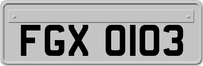 FGX0103