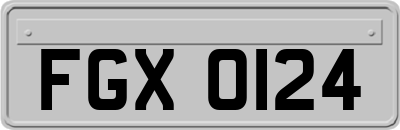 FGX0124