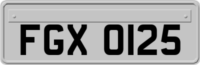 FGX0125