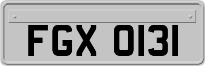 FGX0131