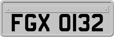 FGX0132