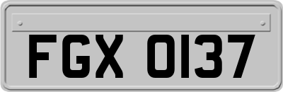 FGX0137