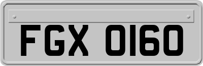 FGX0160
