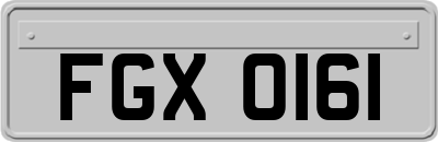 FGX0161